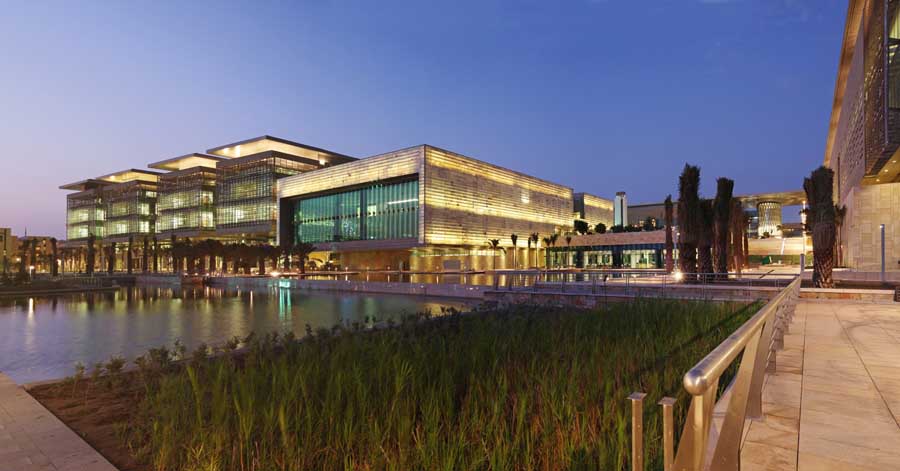 Wellbeing strategy for a national research institution in Saudi Arabia